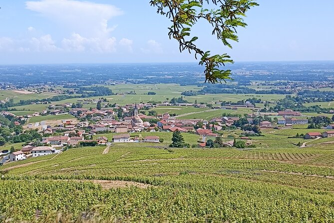 Half-Day Guided Tour With Tasting of Beaujolais Wines - Itinerary: Bagnols