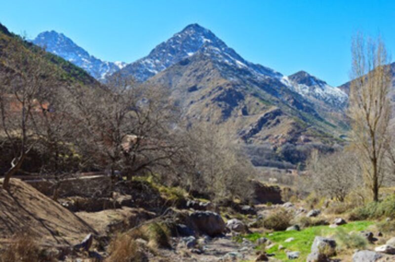 Half Day Guided Trek Departure From Imlil - Meeting Point and Availability