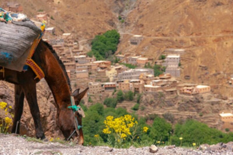 Half Day Guided Trek Departure From Imlil - Recommended Packing List