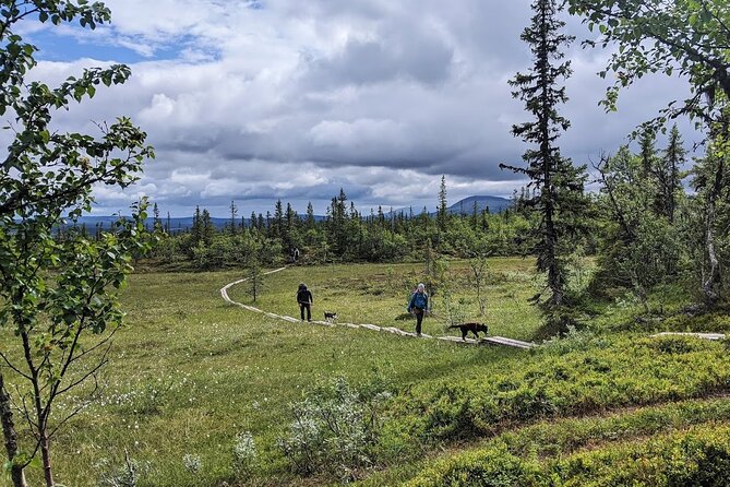 Half Day Guided Walk With Huskies - Meeting Details