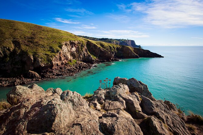 Half Day Guided Walking Tour on Banks Peninsula - Inclusions
