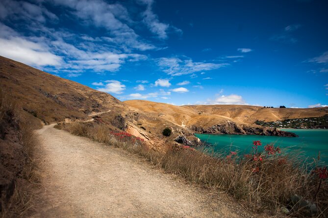 Half Day Guided Walking Tour on Banks Peninsula - Pickup Information
