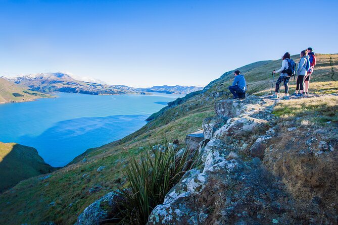 Half Day Guided Walking Tour on Banks Peninsula - Transportation and Accessibility
