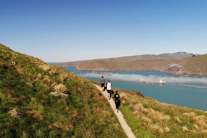 Half Day Guided Walking Tour on Banks Peninsula - Experience Details