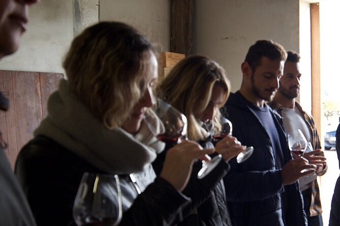 Half-Day Guided Wine Tasting Tour in Bordeaux Vineyards - Inclusions and Amenities