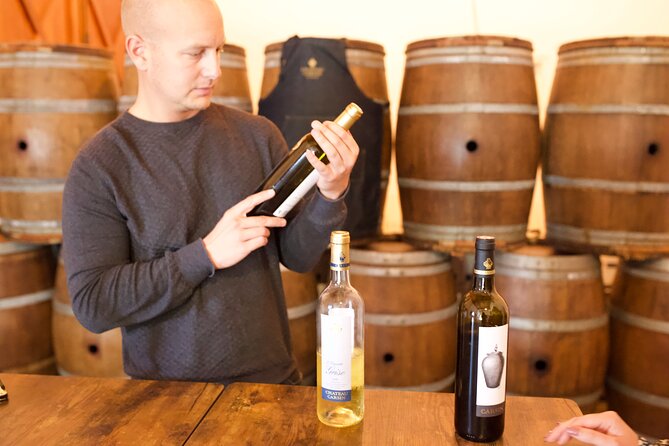 Half-Day Guided Wine Tasting Tour in Bordeaux Vineyards - Accessibility and Restrictions