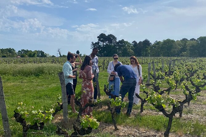 Half-Day Guided Wine Tasting Tour in Bordeaux Vineyards - Highlights of the Tour