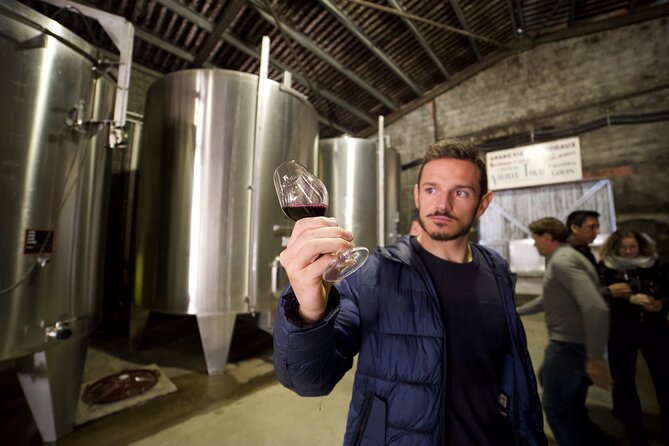 Half-Day Guided Wine Tasting Tour in Bordeaux Vineyards - Traveler Reviews and Rating