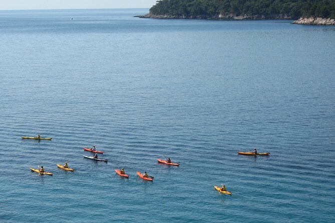 Half Day Guided Zaton Bay Kayak, Swim, and Snorkel Tour in Dubrovnik - Group Size and Eligibility