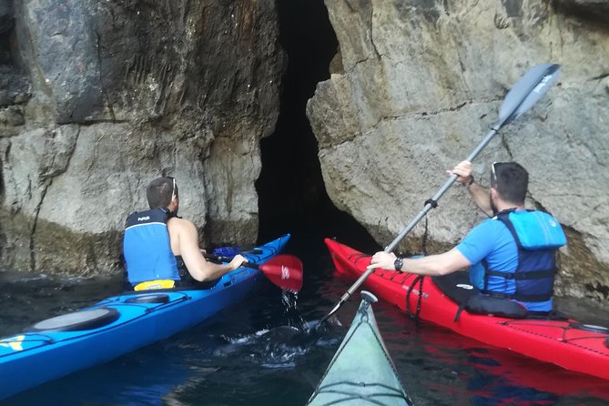 Half Day Guided Zaton Bay Kayak, Swim, and Snorkel Tour in Dubrovnik - Reviews and Feedback