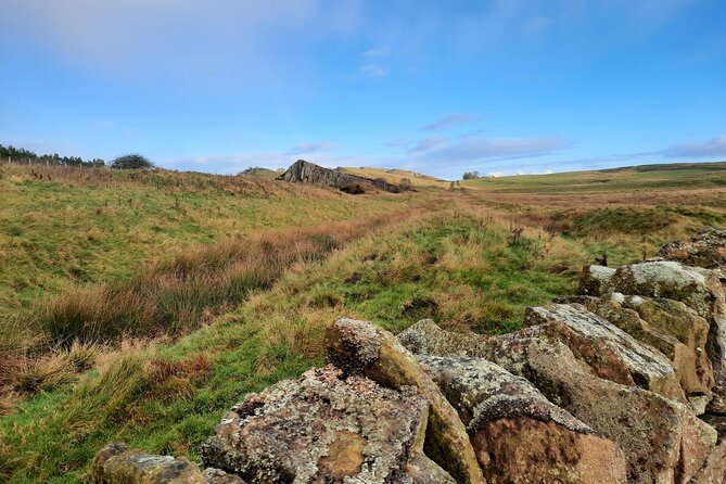 Half Day Hadrian's Wall Guided Tour - Guided Exploration of Hadrians Wall