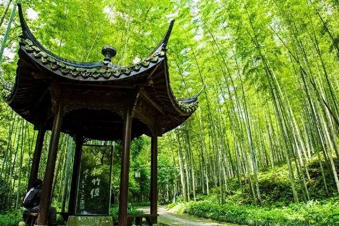 Half-Day Hangzhou Nature Explore With Green Tea Village and Yunxi Bamboo Forest - Enchanting Yunxi Bamboo Forest