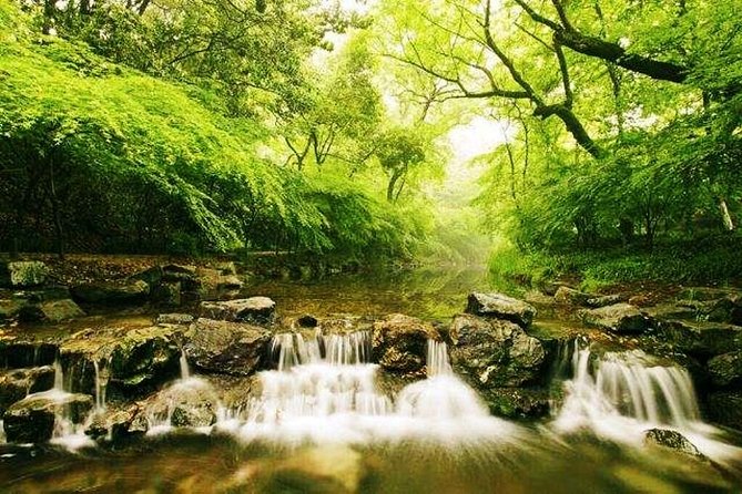 Half-Day Hangzhou Nature Explore With Green Tea Village and Yunxi Bamboo Forest - Boat Cruise on West Lake