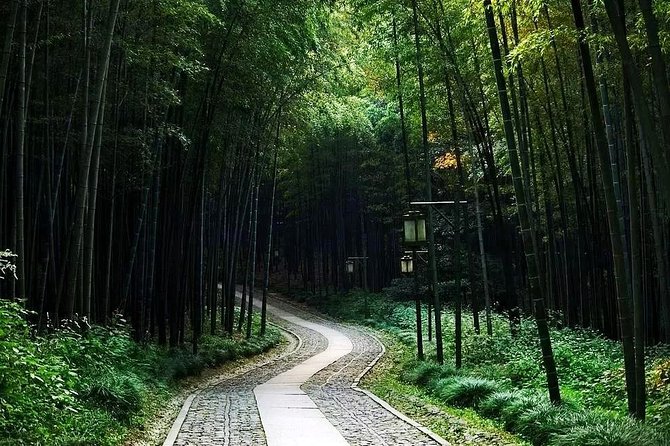 Half-Day Hangzhou Nature Explore With Green Tea Village and Yunxi Bamboo Forest - Experienced Driver and Guide