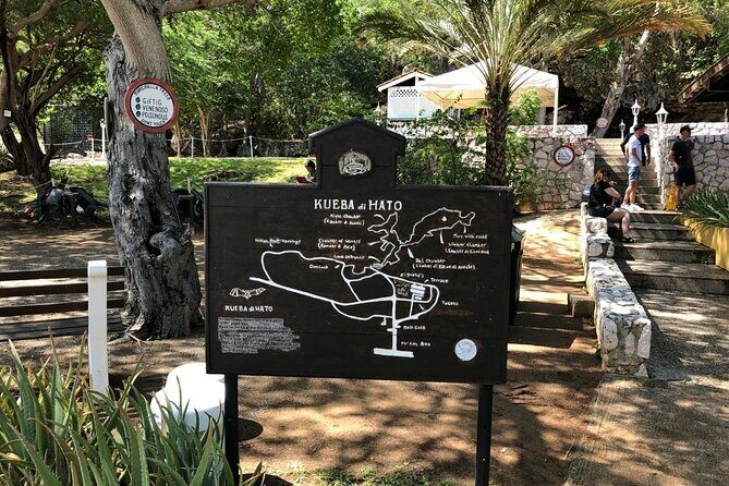Half Day Hato Cave, Flamingo & Beach Tour - A Deep Dive into the Tour Experience