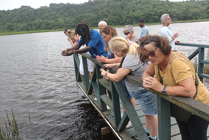 Half-Day Hawaiian Leis Chocolate Waterfalls Beach Tour - Inclusions and Amenities