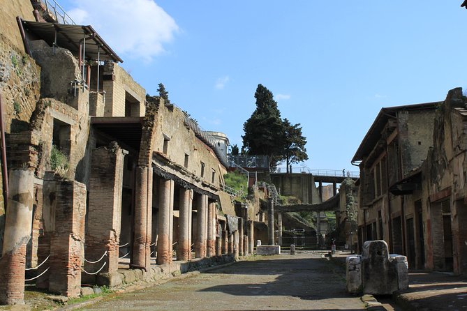Half Day Herculaneum From Sorrento - Customer Ratings
