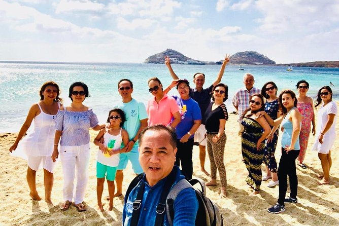 Half-Day Highlights of Mykonos Tour - Tour Highlights