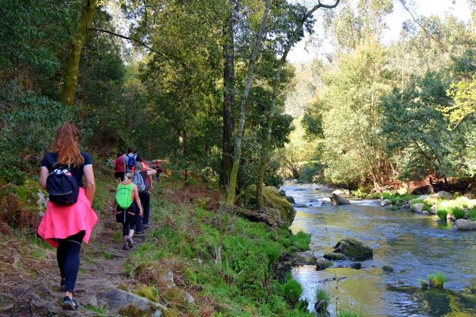 Half Day Hike & Picnic 2.0 With Dog Love in Portos Mountains - Meeting Point and Schedule