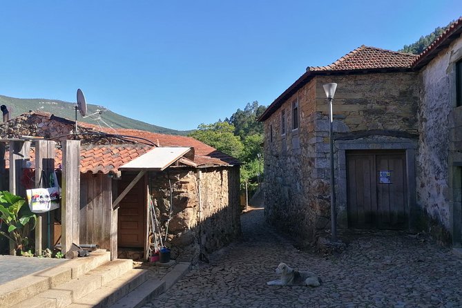 Half Day Hike & Picnic 2.0 With Dog Love in Portos Mountains - Cancellation and Refund Policy