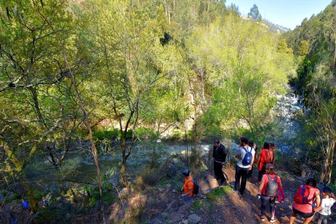 Half Day Hike & Picnic 2.0 With Dog Love in Portos Mountains - Preparing for the Hike