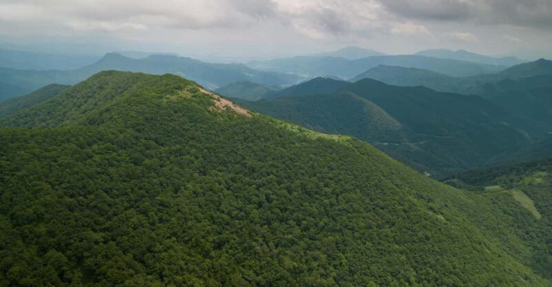 Half Day Hike To the Top of Old Mikuni-kaido Pass - Key Points