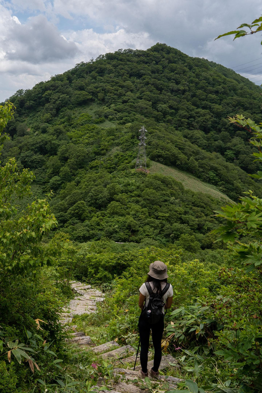 Half Day Hike To the Top of Old Mikuni-kaido Pass - Hiking Route and Terrain
