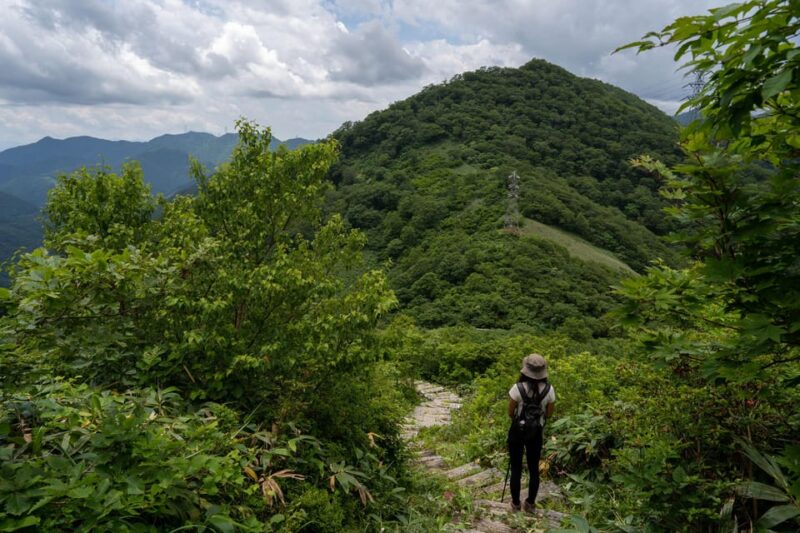 Half Day Hike To the Top of Old Mikuni-kaido Pass - Scenic Highlights
