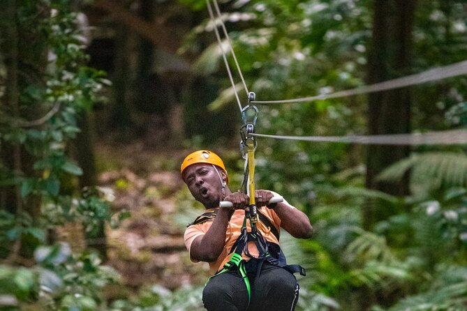 Half-Day Hiking Adventure With Aerial Tram & Zipline in St Lucia - About Your Stay