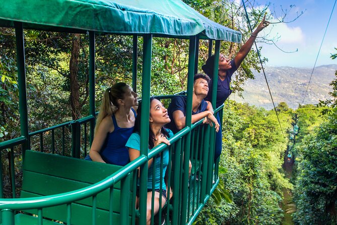 Half-Day Hiking Adventure With Aerial Tram & Zipline in St Lucia - Reviews