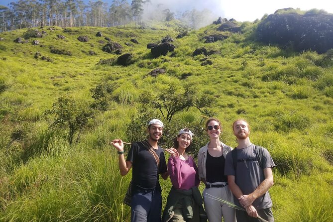 Half Day Hiking in Munnar Trekking Tour - Inclusions