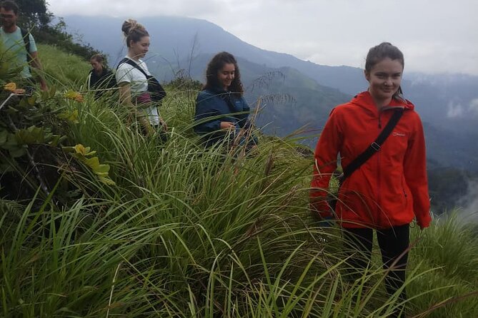 Half Day Hiking in Munnar Trekking Tour - Highlights of the Tour