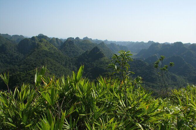 Half Day Hiking to Discover Cat Ba National Park with a Guide - Introduction to the Cat Ba National Park Hike