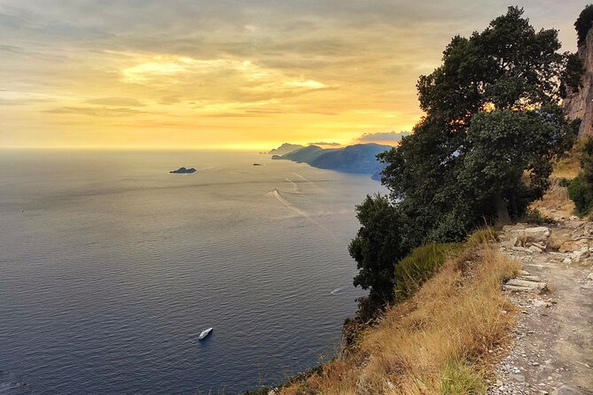 Half-Day Hiking to the Path of the Gods From Sorrento - Traveler Reviews and Recommendations