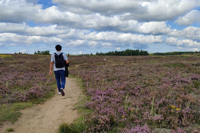 Half Day Hiking Tour in Beautiful Estonian Nature - Tour Details