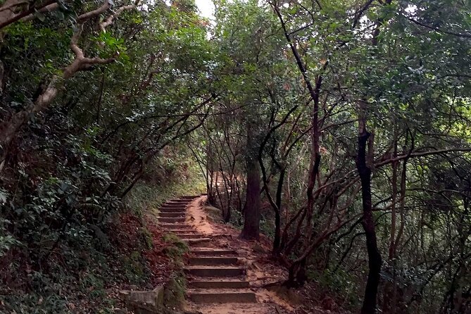 Half-day Hiking Tour in The Green to Lion Rock in Hong Kong - Booking and Cancellation