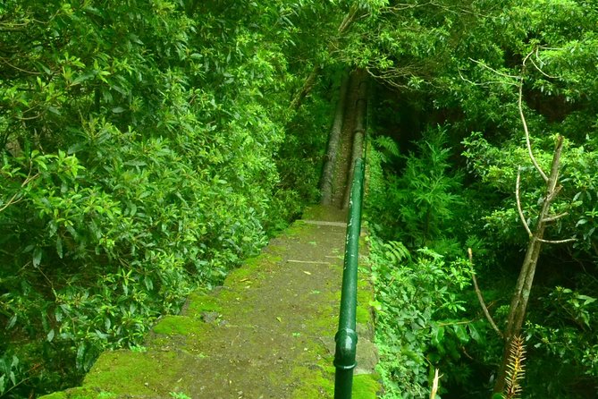 Half Day Hiking Tour Janela Do Inferno and Lagoa Do Fogo - Health and Safety Guidelines