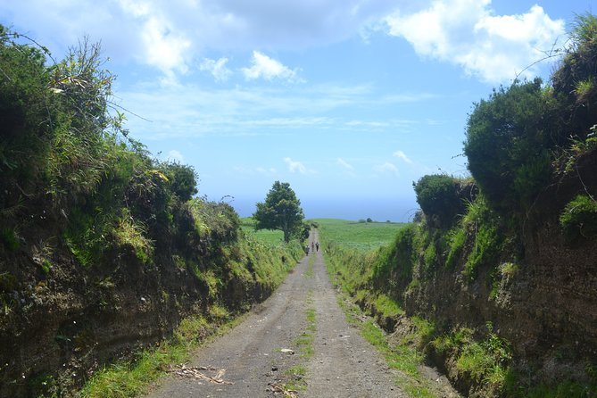 Half Day Hiking Tour Janela Do Inferno and Lagoa Do Fogo - Customer Feedback