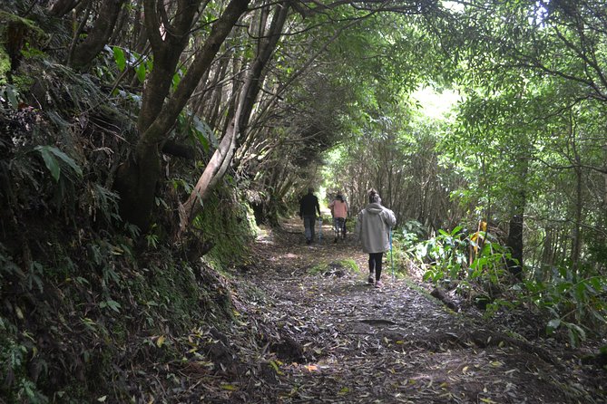 Half Day Hiking Tour Janela Do Inferno and Lagoa Do Fogo - Ponta Delgadas Stunning Landscapes