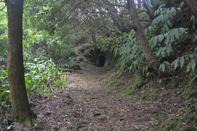 Half Day Hiking Tour Janela Do Inferno and Lagoa Do Fogo - Hiking the Janela Do Inferno Trail