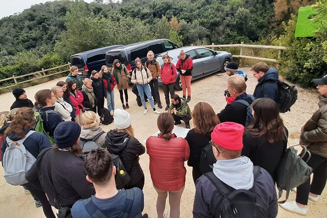 Half Day Hiking Tour Through La Fordada in La Rapita - Local Flora and Fauna