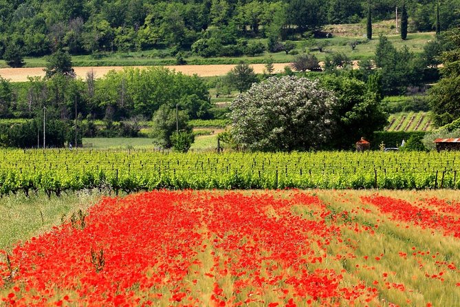 Half Day Hilltop Villages of Luberon Tour From Avignon - Group Size Limit