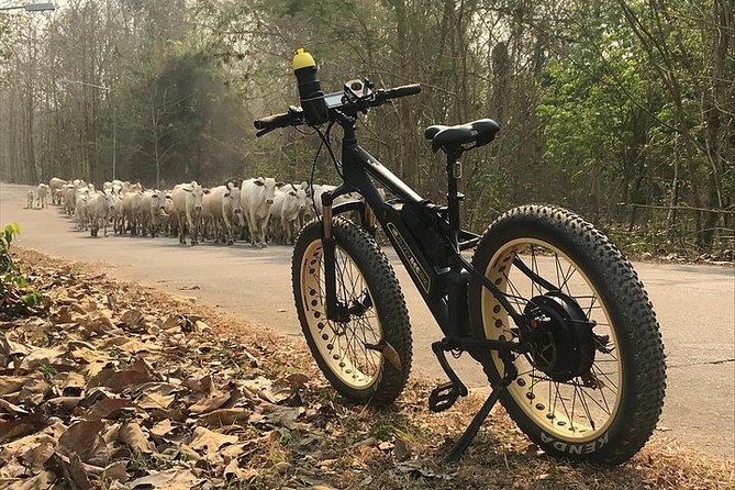 Half-Day Hilly E-Bike Adventure (Fully Paved Roads, Guided) - Pickup and Confirmation