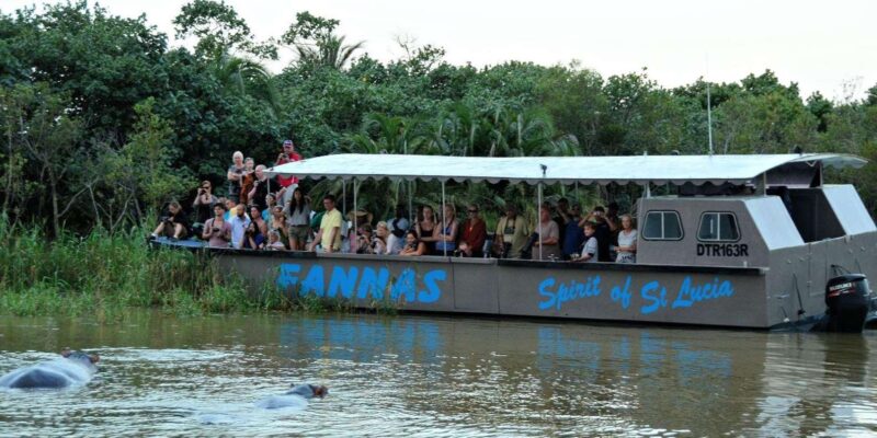 Half Day Hippo Boat Safari Isimangaliso Wetlands From Durban - Itinerary Details
