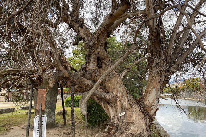 Half Day Hiroshima Highlight Tour With Story Telling - Additional Information