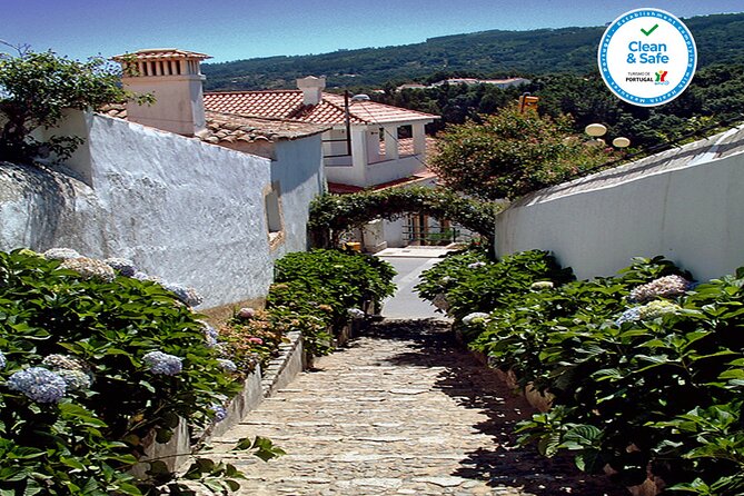 Half Day Historical Tour to Silves and Monchique - Accessibility and Participation