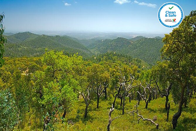 Half Day Historical Tour to Silves and Monchique - Additional Details