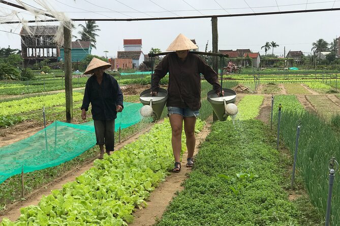 Half-Day Hoi An Countryside and Villages Tour by Bike - Tour Overview