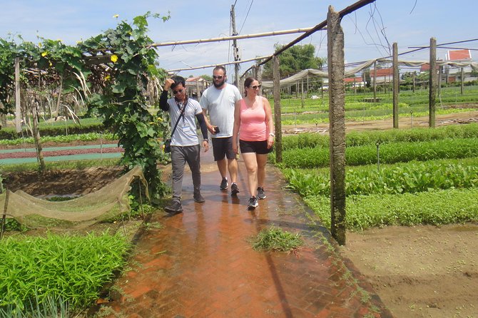 Half-day Hoi An Countryside & Artists By Electric Scooter - Age and Accessibility Requirements