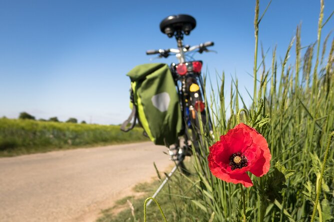 Half-day Hoi An Countryside Bike Tour - Scenic Countryside Biking